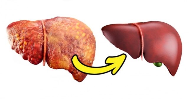 Combien Coute Une Greffe De Rein Savez-vous combien coûte les organes les plus importants de votre corps