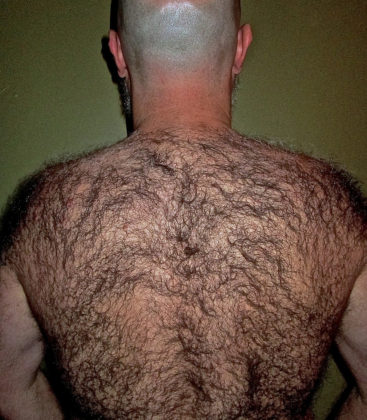 Gay galleries and gay videos twinks Big hard hairy dicks