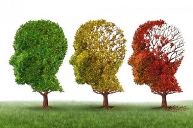 Alzheimer Tout savoir