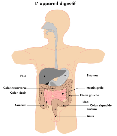 Traitement de la maladie de Crohn