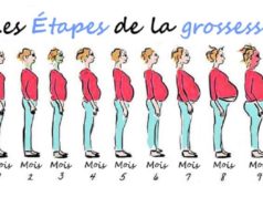 Evolution grossesse