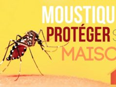 Lutter contre les moustiques naturellement