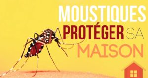 Lutter contre les moustiques naturellement