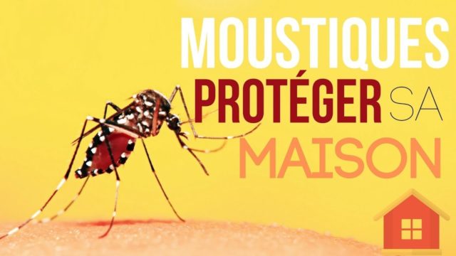 Lutter contre les moustiques naturellement