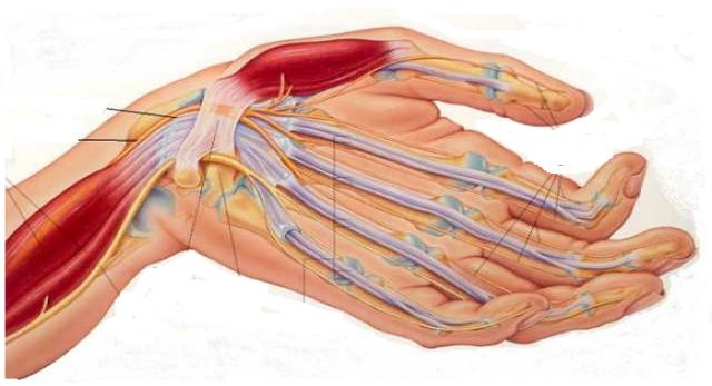 Guillain Barre Syndrome