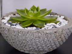 DIY : Réaliser un pot de fleurs avec des bulles